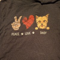 Dredging of Great White Sharks – Out of Context